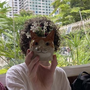 Chiggie 的头像