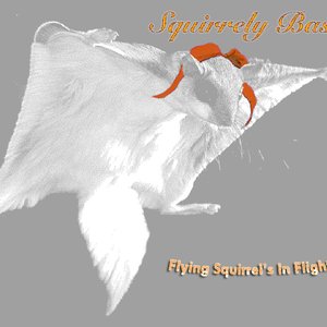 Flying Squirrel's In Flight EP