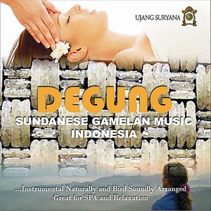 Immagine per 'Degung Sundanese Gamelan Music'