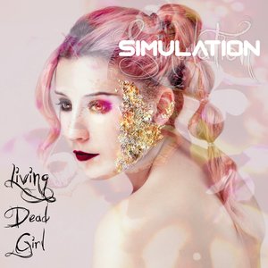Simulation