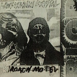Roach Motel