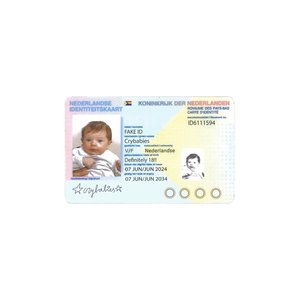 Fake ID - Single