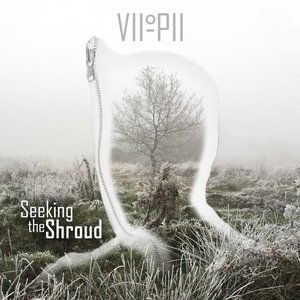 Seeking the Shroud