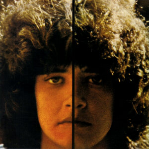 Face a face cover