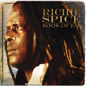 Artwork for Jah Never Let Us Down