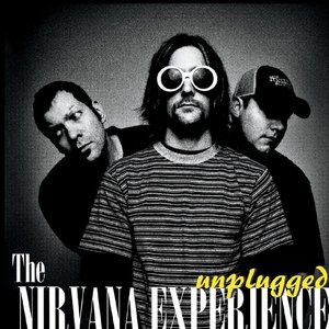 The Nirvana Experience