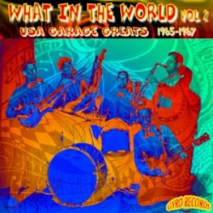 USA Garage Greats 1965-1967: Vol. 55: What in the World?, Part 2