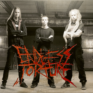 Endless Torture photo provided by Last.fm