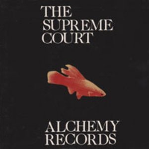 The Supreme Court 的头像