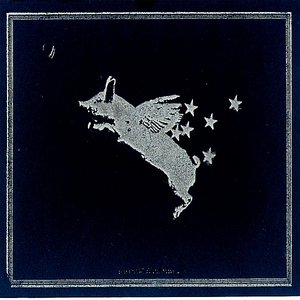 ad astra per alia porci