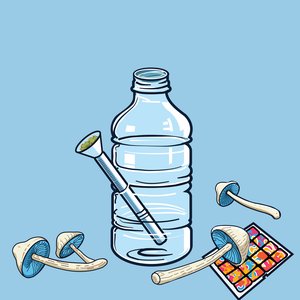 Default Mode Network LFO