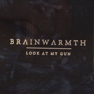 Brainwarmth 的头像