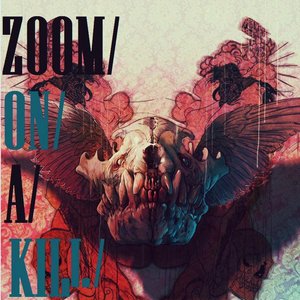 The Zoom-On-A-Kill Project