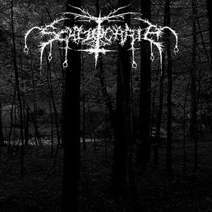Schizocaria 的头像