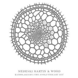 Radiolarians: The Evolutionary Set cover