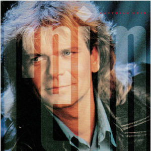 Matthias Reim - Du hast mir den Kopf vergreht Lyrics - Zortam Music