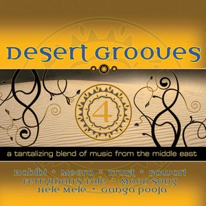 Desert Grooves 4 (A Tantilizing Blend of Music from the Middle East)