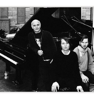 Avatar for Ludovico Einaudi, Ronald & Robert Lippok (Whitetree)