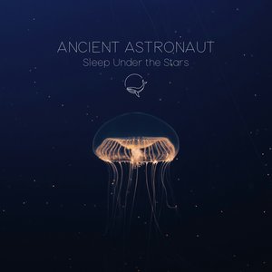 Sleep Under the Stars