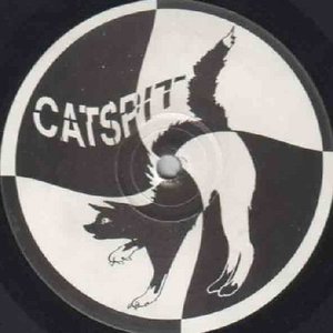 Catspit