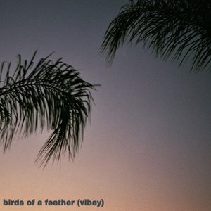 Birds of a Feather (Vibey)