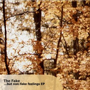 ...But Non-Fake Feelings EP