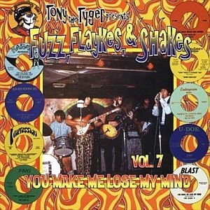 Fuzz, Flaykes, & Shakes Vol 7