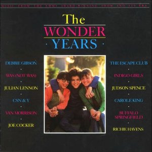 The Wonder Years (Music from the TV Show)