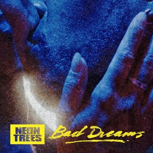 Bad Dreams - Single