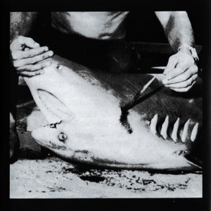 Shark Knifing