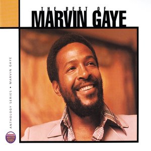 Image pour 'Anthology: The Best Of Marvin Gaye'