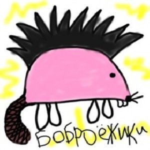 Avatar di Боброёжики