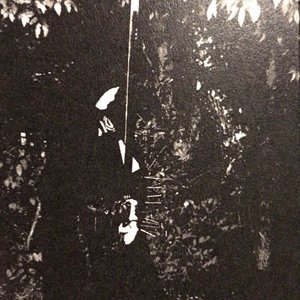 Taforalt Cave 的头像