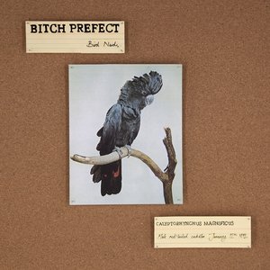 Bird Nerds [Explicit]