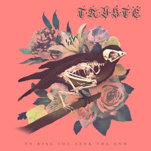 To Rise You Seek The End