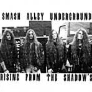 Rising From the Shadows