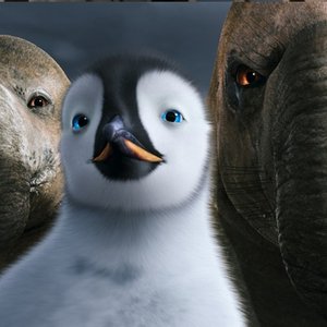 Avatar de Elephant Seal Chorus