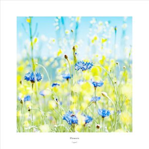 Flowers - EP