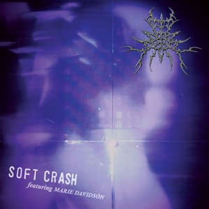 Your Last Everything (Soft Crash Angel)