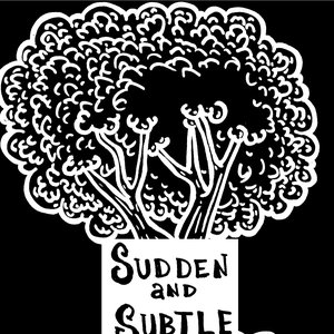 Sudden and Subtle のアバター