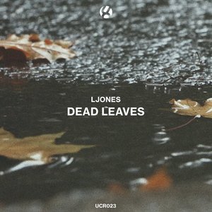 Dead Leaves