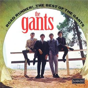 The Gants - Roadrunner! The Best of the Gants - Zortam Music