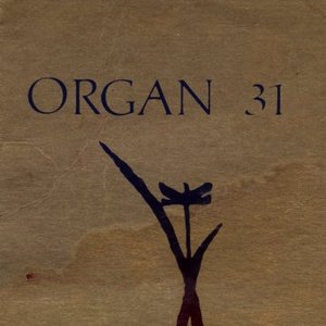 Avatar für Organ 31