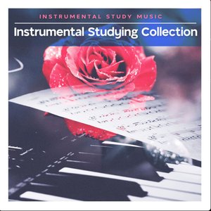 Avatar for Instrumental Study Music