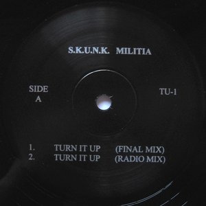“S.K.U.N.K. Militia”的封面