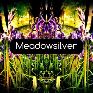 Meadowsilver 的头像