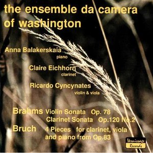 The Ensemble Da Camera Plays Brahms and Bruch