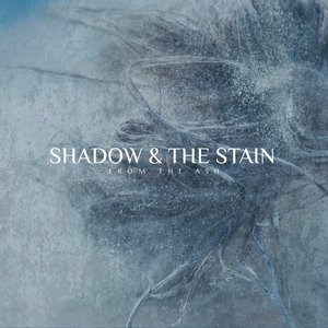 Shadow and the Stain