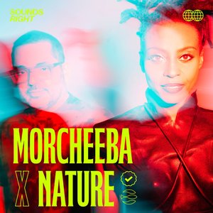 Album artwork for Sounds of Blue - NATURE Version by Morcheeba