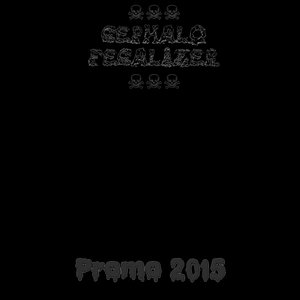 Promo 2015